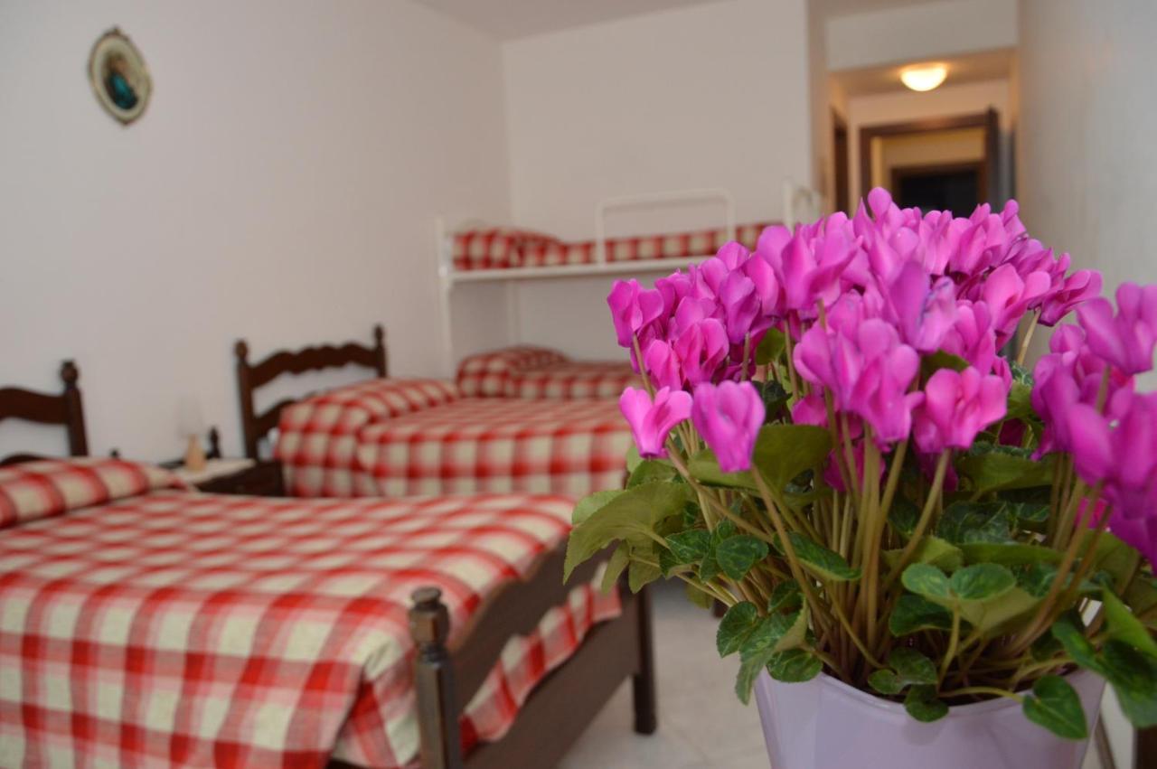 Domus Achille Fosco Otel Ciampino Dış mekan fotoğraf